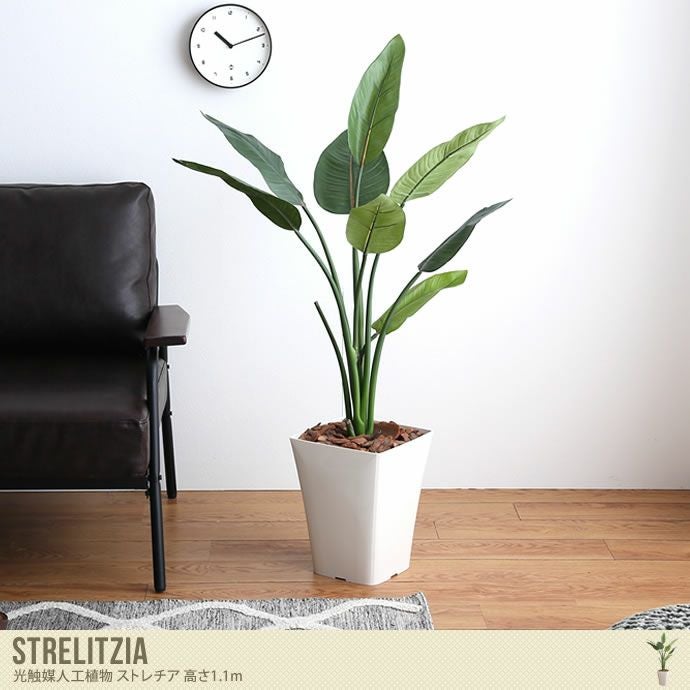 送料無料】人工観葉植物 フェイクグリーン 高さ1.1m 人工植物 光触媒