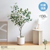 【送料無料】【高さ130cm】Nature 光触媒人工観葉植物　ユーカリ