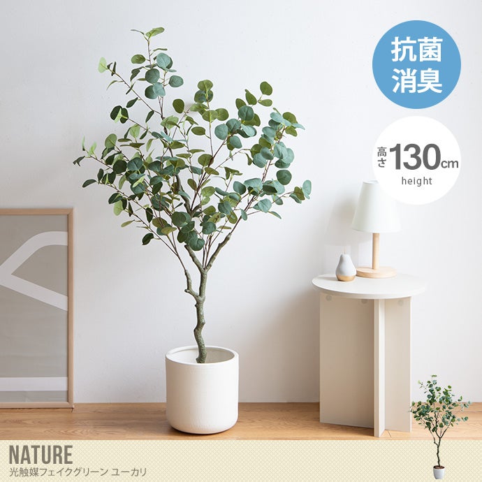 【送料無料】【高さ130cm】Nature 光触媒人工観葉植物　ユーカリ