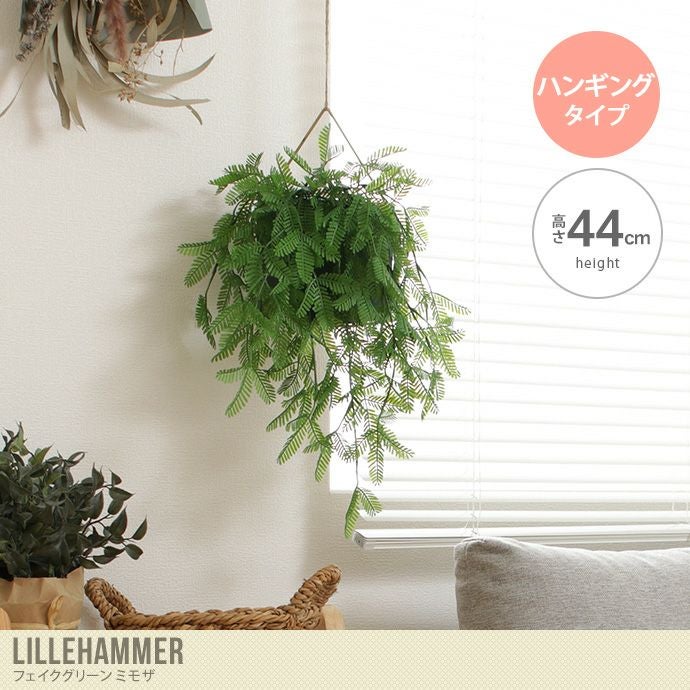 000000044310-01.jpg?size=l&w=