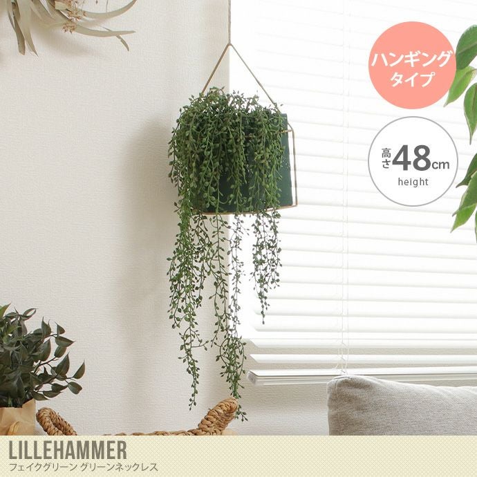 000000044312-01.jpg?size=l&w=